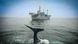 19-05-25 Sea Shepherd_V_image3
