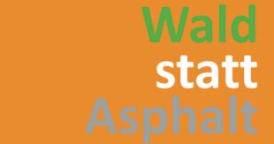24-01-24 Wald statt Asphalt