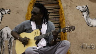 Habib Web