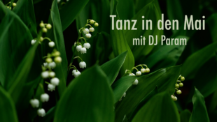 Tanz in den Mai_Zeichenfläche 1